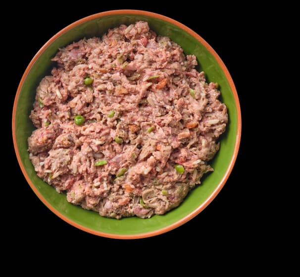 Bowl of raw dog food