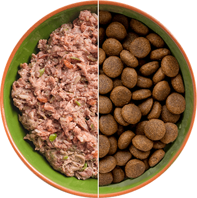Comparison of Natures Menu vs Kibble