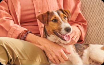 17 recipes to choose from