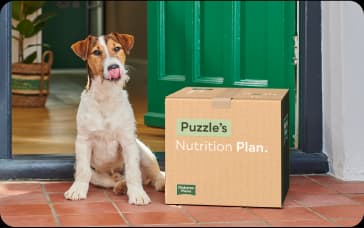 Expert nutrition support