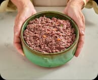 Serving food to a dog